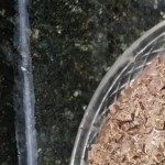 Fernando123's avatar