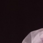 prisbitvuk00's avatar