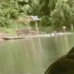 Crystalma32's avatar