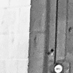 Finnabustrn's avatar