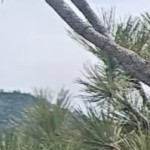 1georg1georg1's avatar